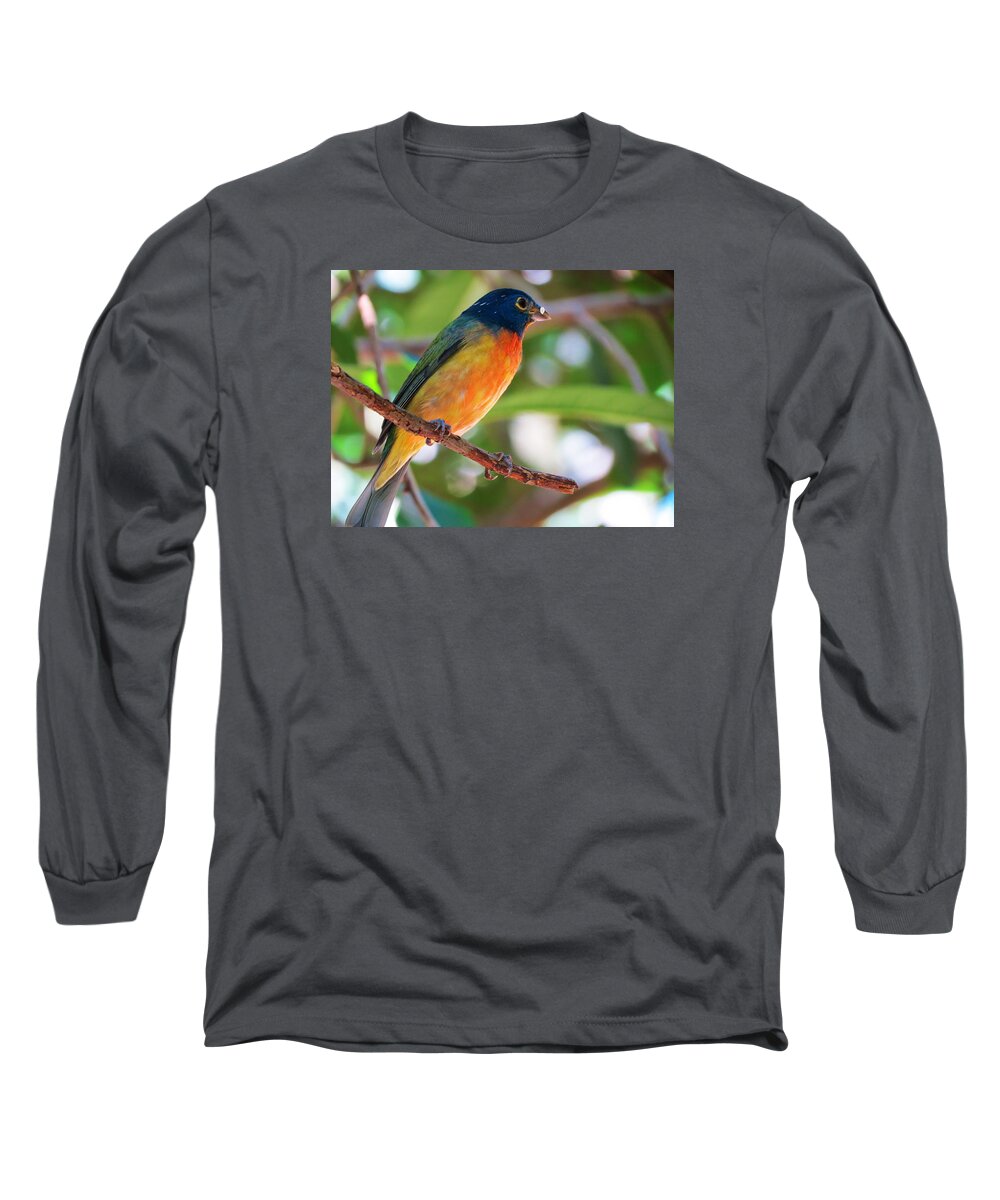 Birds Long Sleeve T-Shirt featuring the photograph Bird 1 by Vijay Sharon Govender