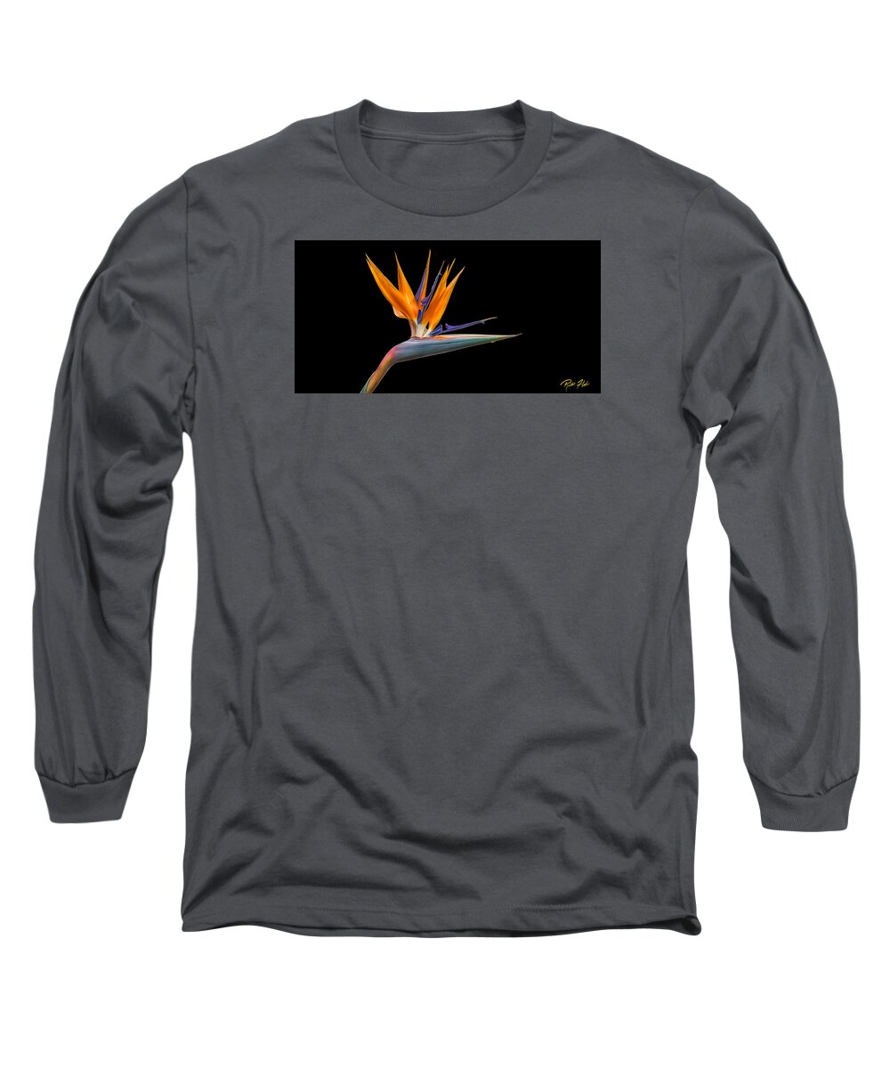 Plant Long Sleeve T-Shirt featuring the photograph Bird of Paradise Flower on Black by Rikk Flohr