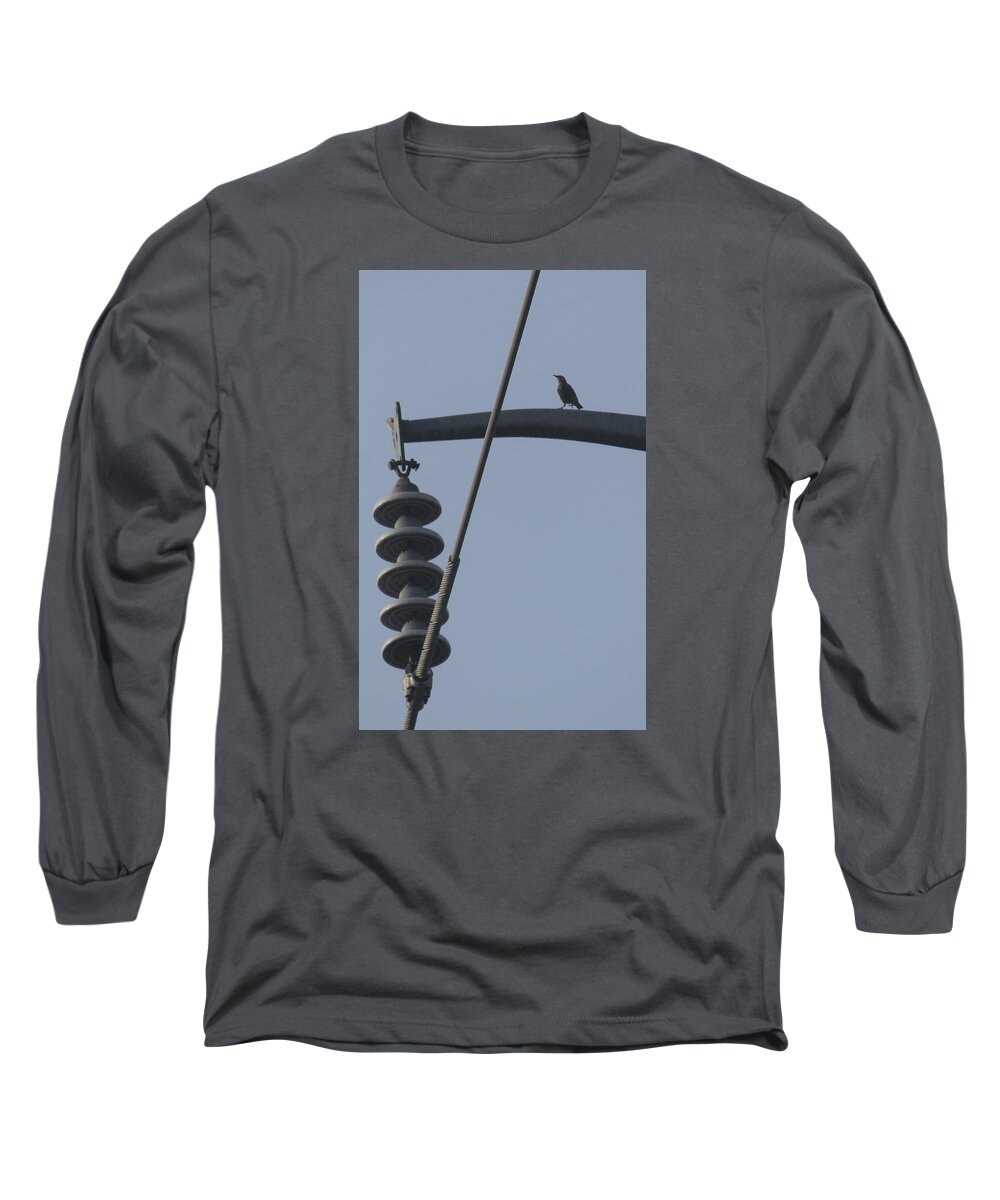 Bird Long Sleeve T-Shirt featuring the photograph Bird on a high wire by Sheri Simmons