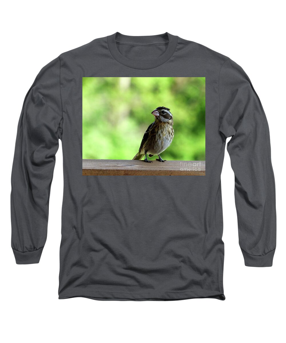 Bird Long Sleeve T-Shirt featuring the painting Bird with punk attitude by Paula Joy Welter
