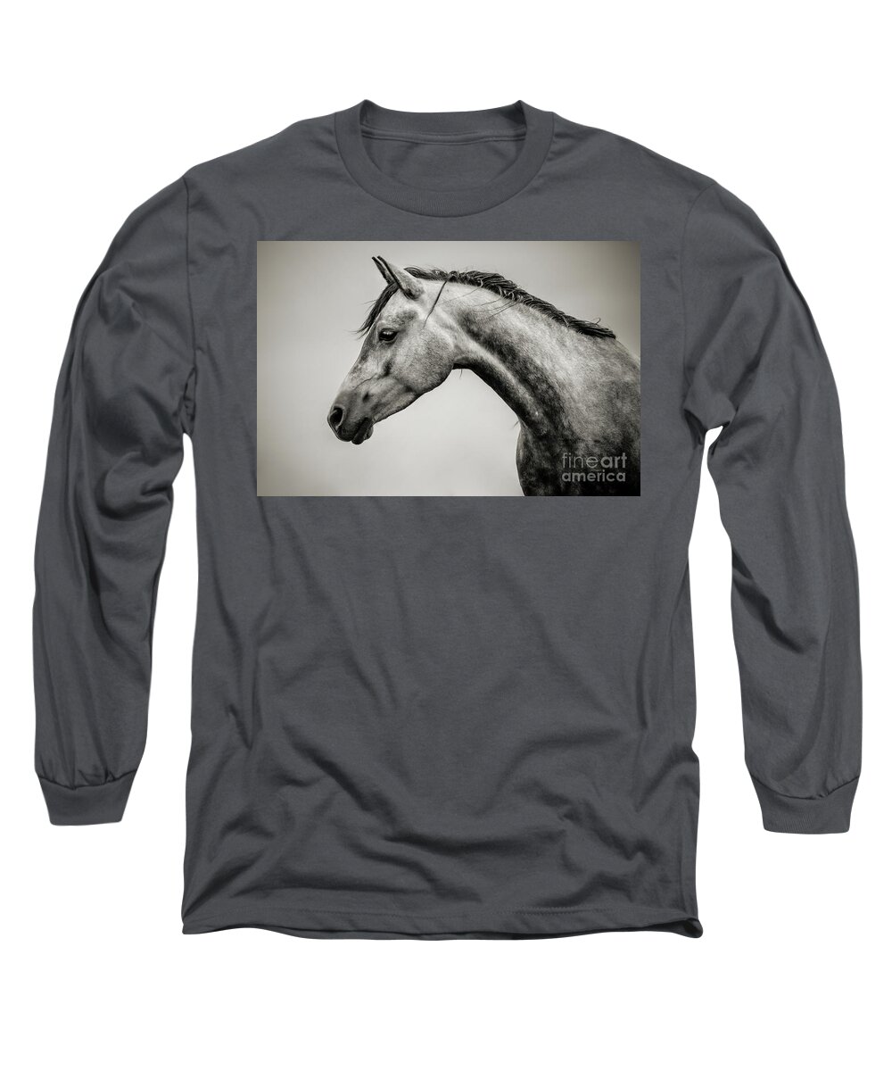 Horse Long Sleeve T-Shirt featuring the photograph Black and White Horse Head by Dimitar Hristov
