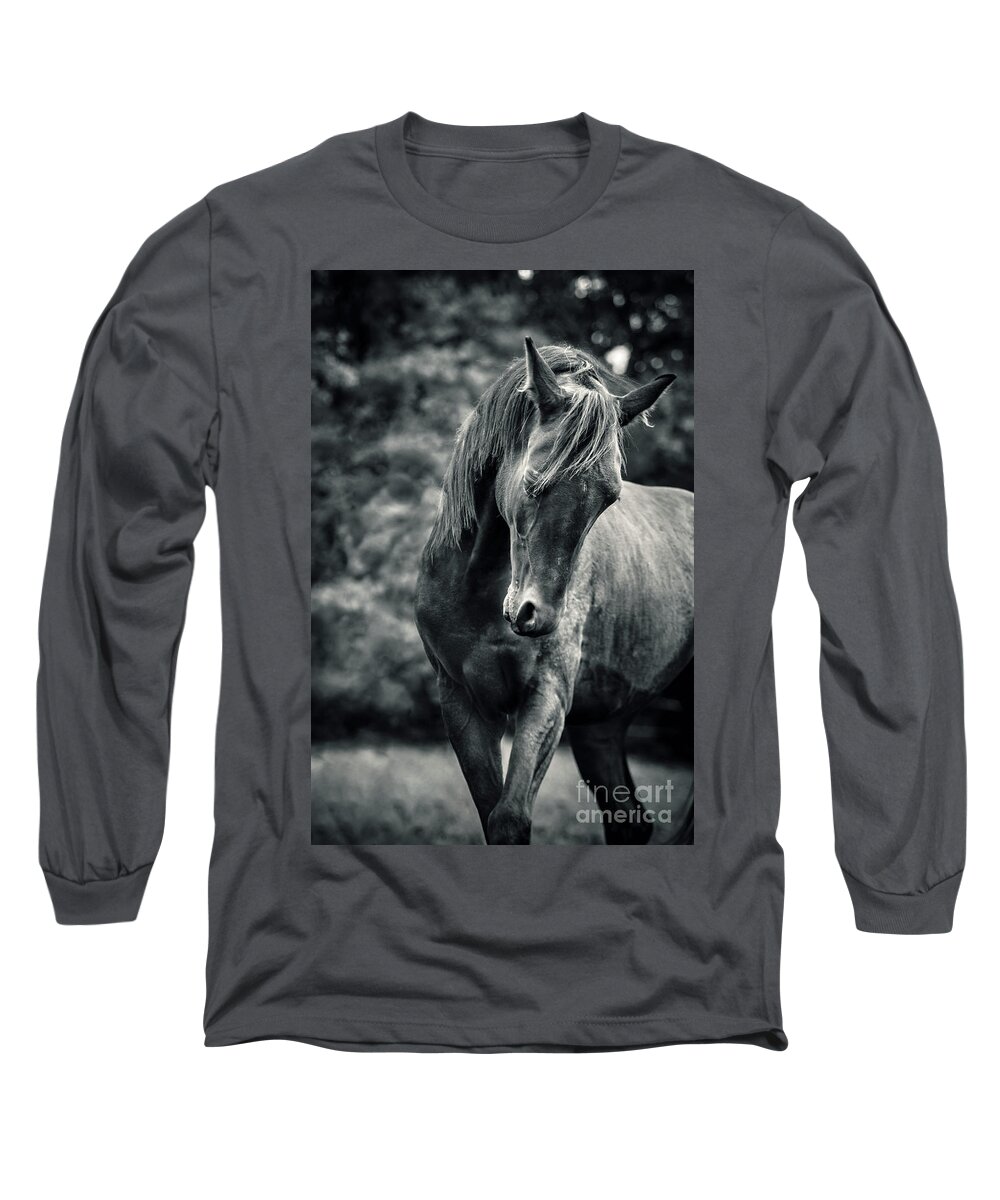 Horse Long Sleeve T-Shirt featuring the photograph Black and white portrait of horse by Dimitar Hristov