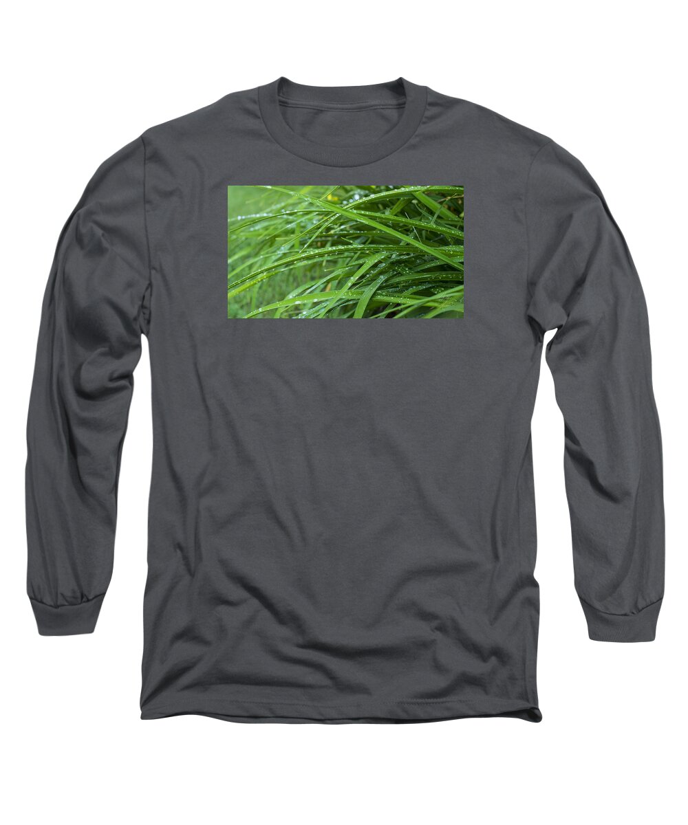 Chita Hunter Long Sleeve T-Shirt featuring the photograph Blades and Rain by Chita Hunter