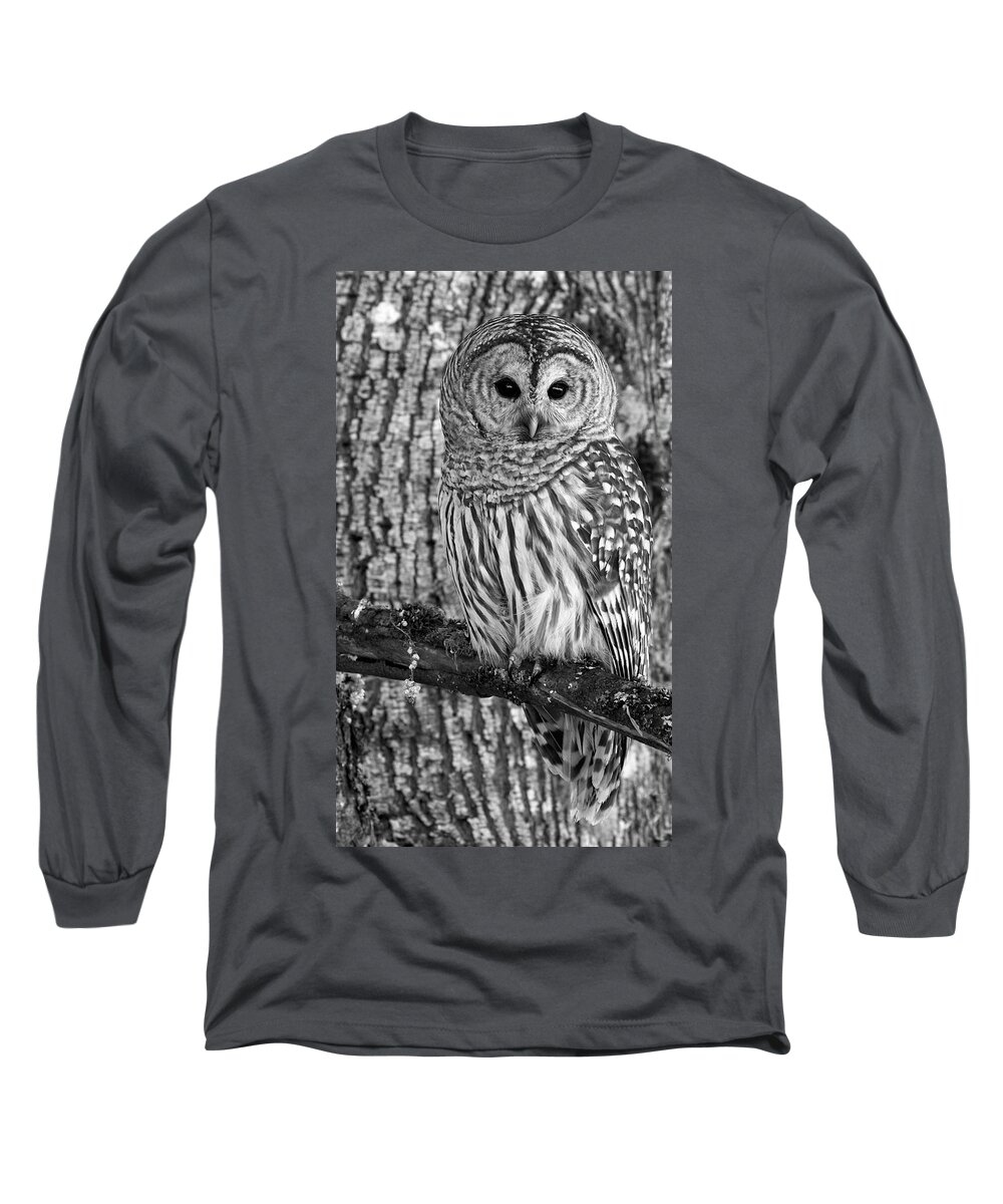 Barred Owl Long Sleeve T-Shirt featuring the photograph Blending In - 365-187 by Inge Riis McDonald