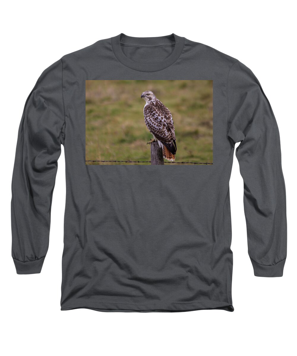South Dakota Long Sleeve T-Shirt featuring the photograph Bloody Talons by Aaron J Groen