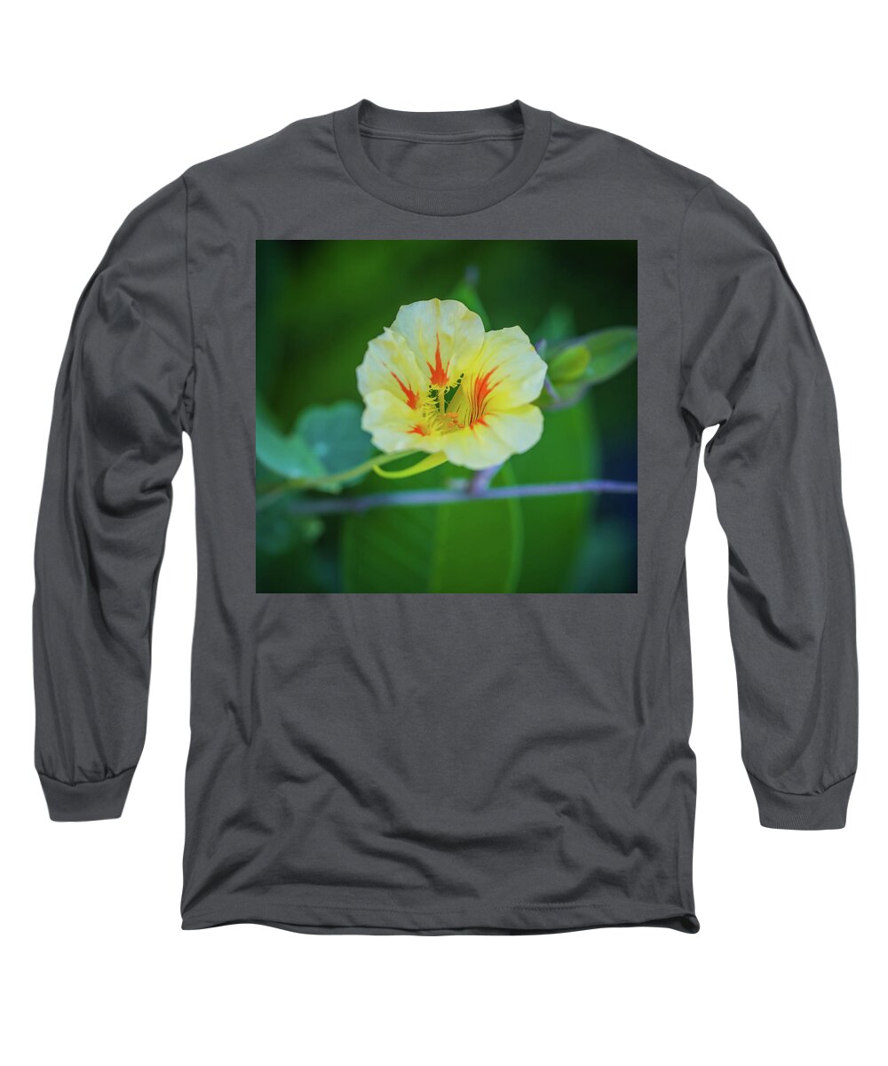 Flower Long Sleeve T-Shirt featuring the photograph Bloom by Hyuntae Kim
