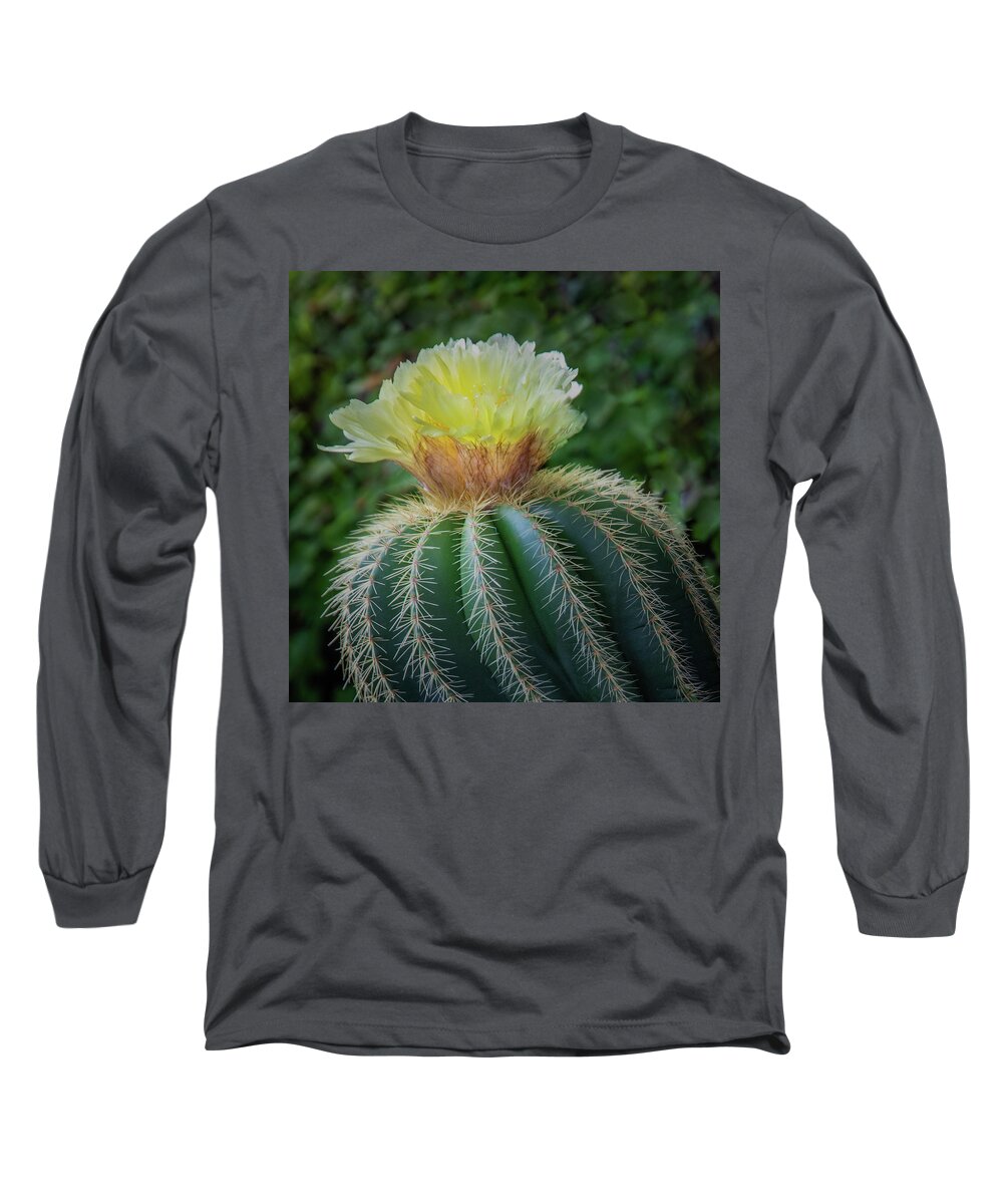 Blooming Long Sleeve T-Shirt featuring the photograph Blooming Cactus by James Woody