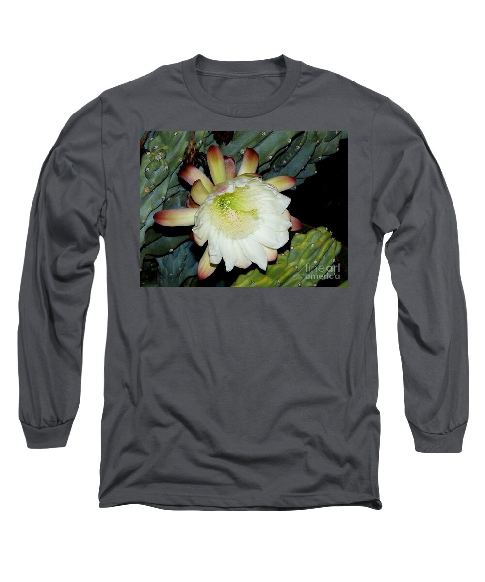 Flowers Long Sleeve T-Shirt featuring the painting Blooming Night Cereus by Jayne Kerr