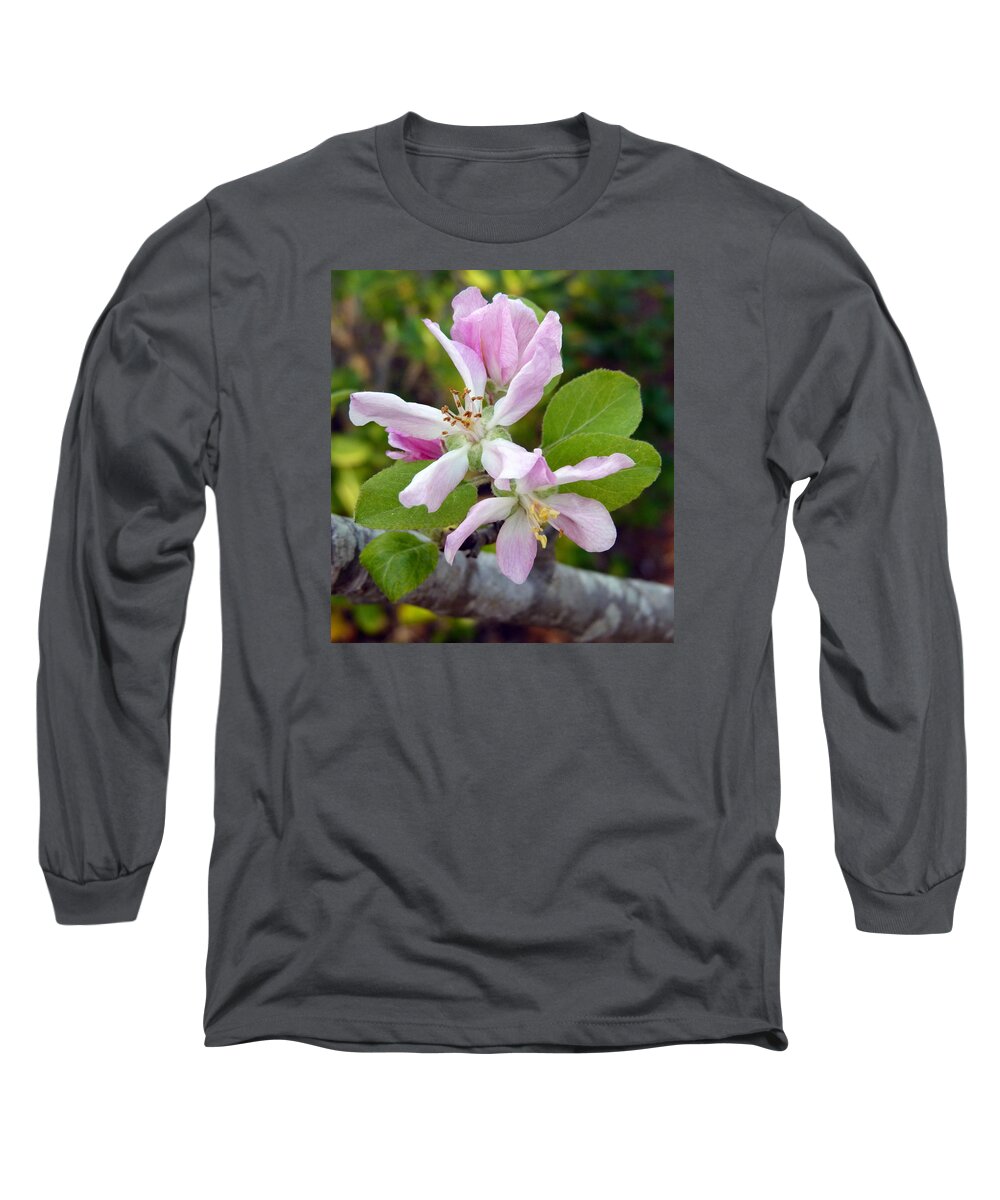 Pink Long Sleeve T-Shirt featuring the photograph Blossom Duet by Carla Parris