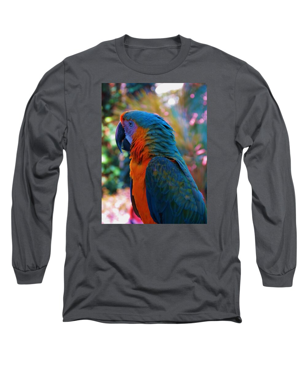 Birds Long Sleeve T-Shirt featuring the photograph Blue Boy by Vijay Sharon Govender