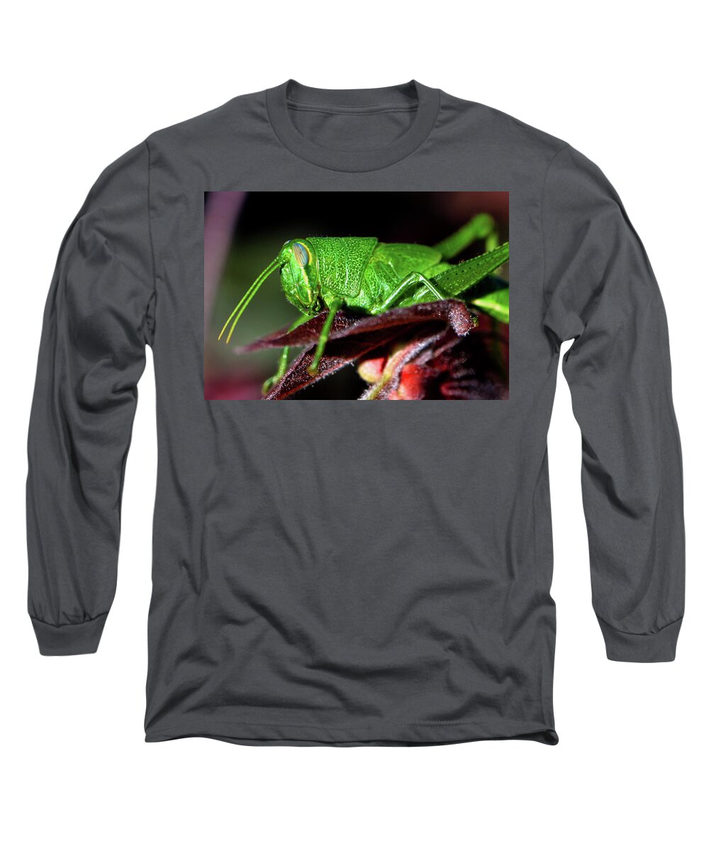Macro Long Sleeve T-Shirt featuring the photograph Blue Eyed Green Grasshopper 001 by George Bostian