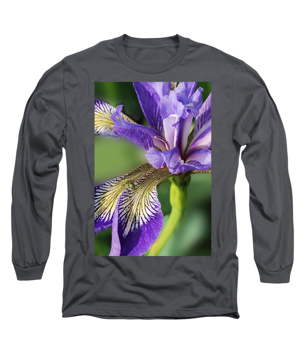 Nature Long Sleeve T-Shirt featuring the photograph Blue Flag by Sue Capuano