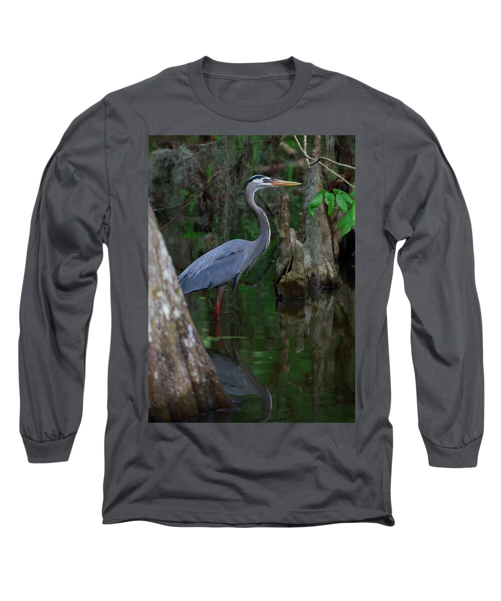 Birds Long Sleeve T-Shirt featuring the photograph Blue Heron by Dillon Kalkhurst