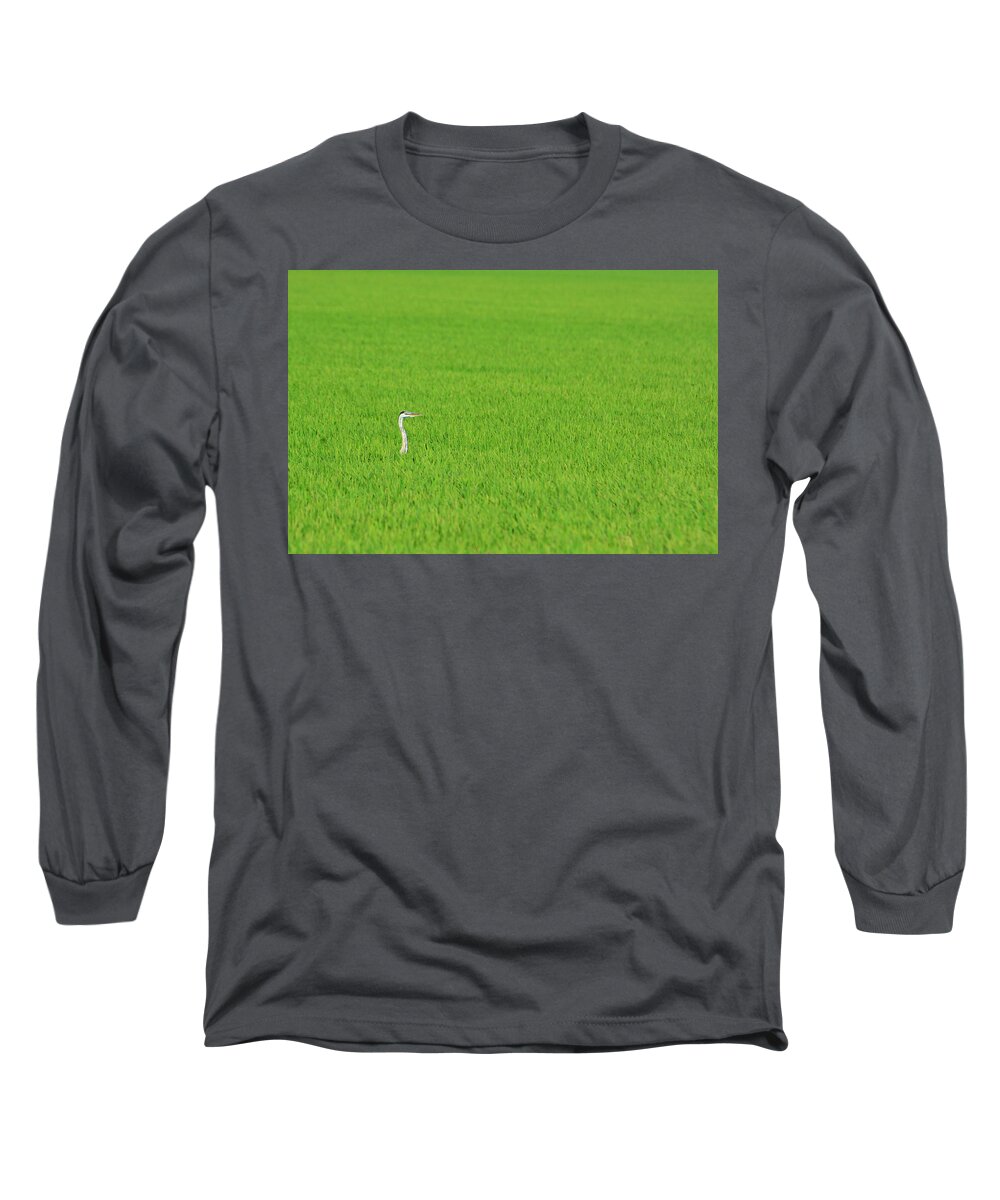 Blue Heron Long Sleeve T-Shirt featuring the photograph Blue Heron in Field by Josephine Buschman