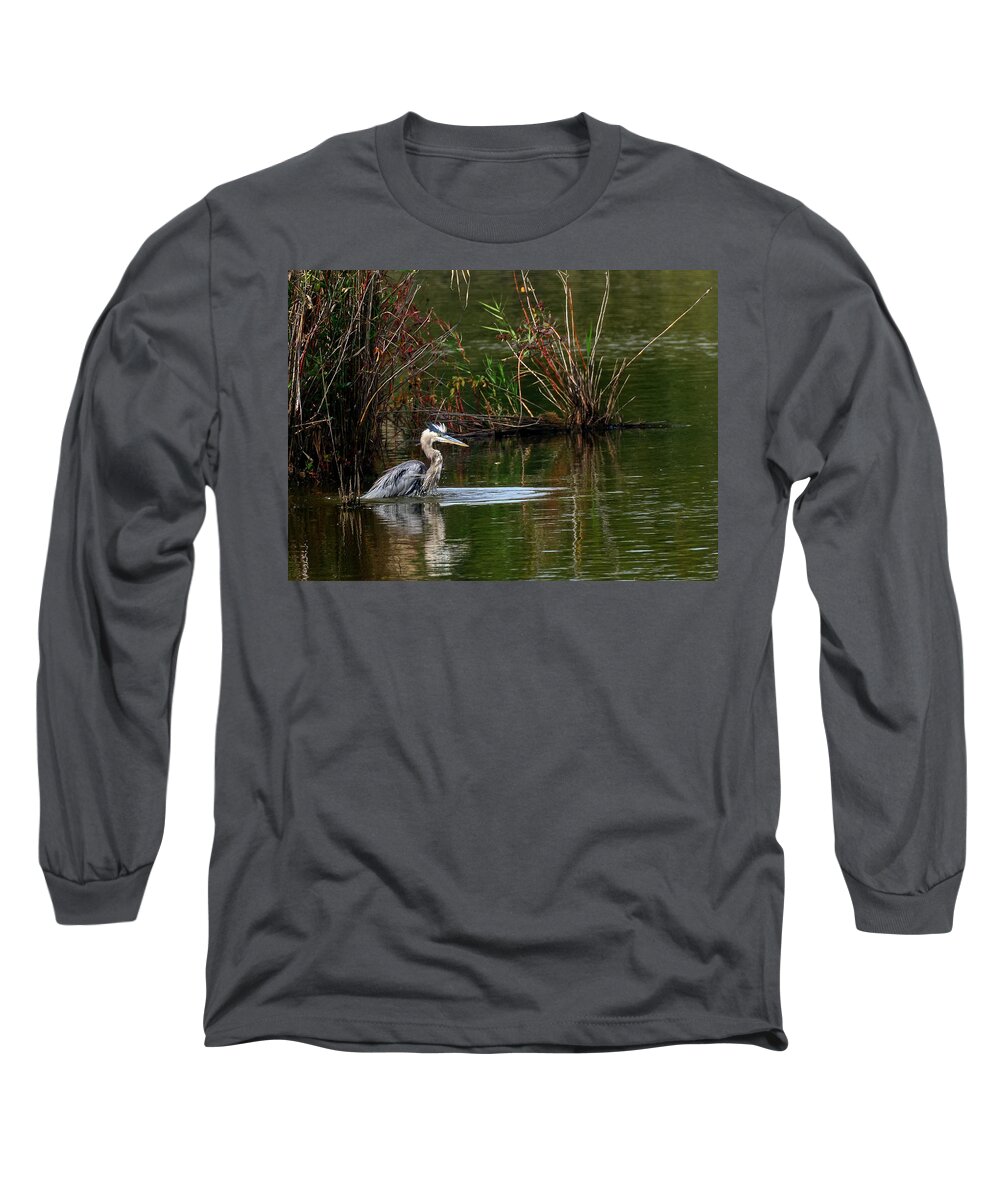 Ardea Herodias Long Sleeve T-Shirt featuring the photograph Blue Heron Pond by Patrick Wolf