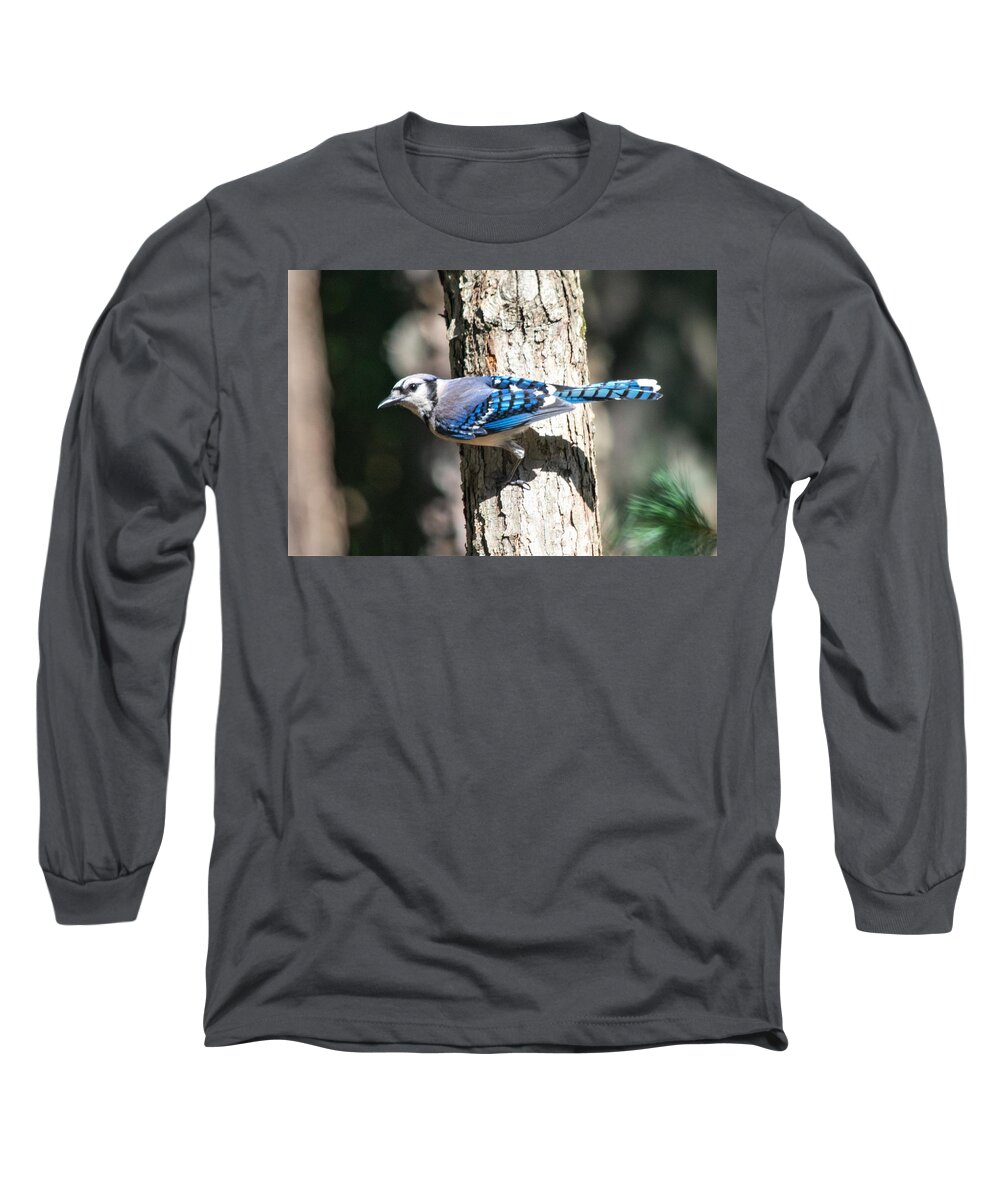Blue Jay Long Sleeve T-Shirt featuring the photograph Blue Jay by Mary Ann Artz