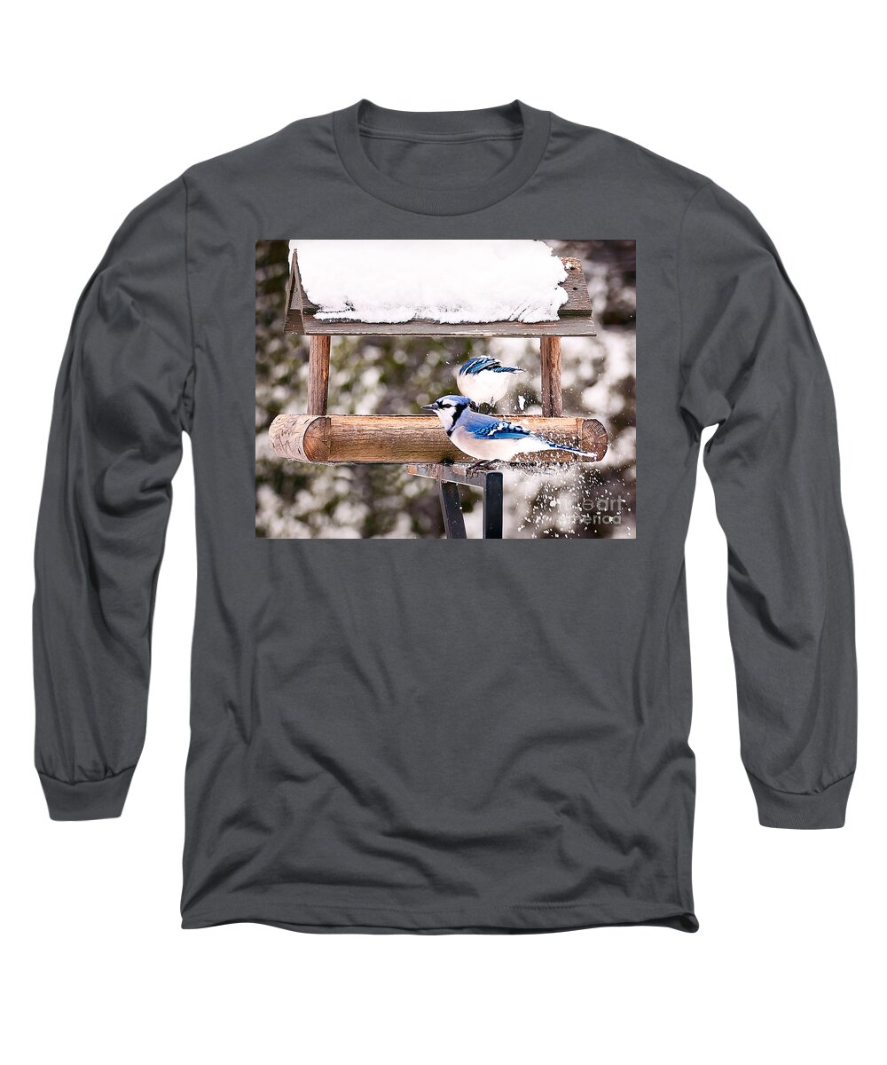 Blue Jays Long Sleeve T-Shirt featuring the photograph Blue Jays in Winter by Gwen Gibson