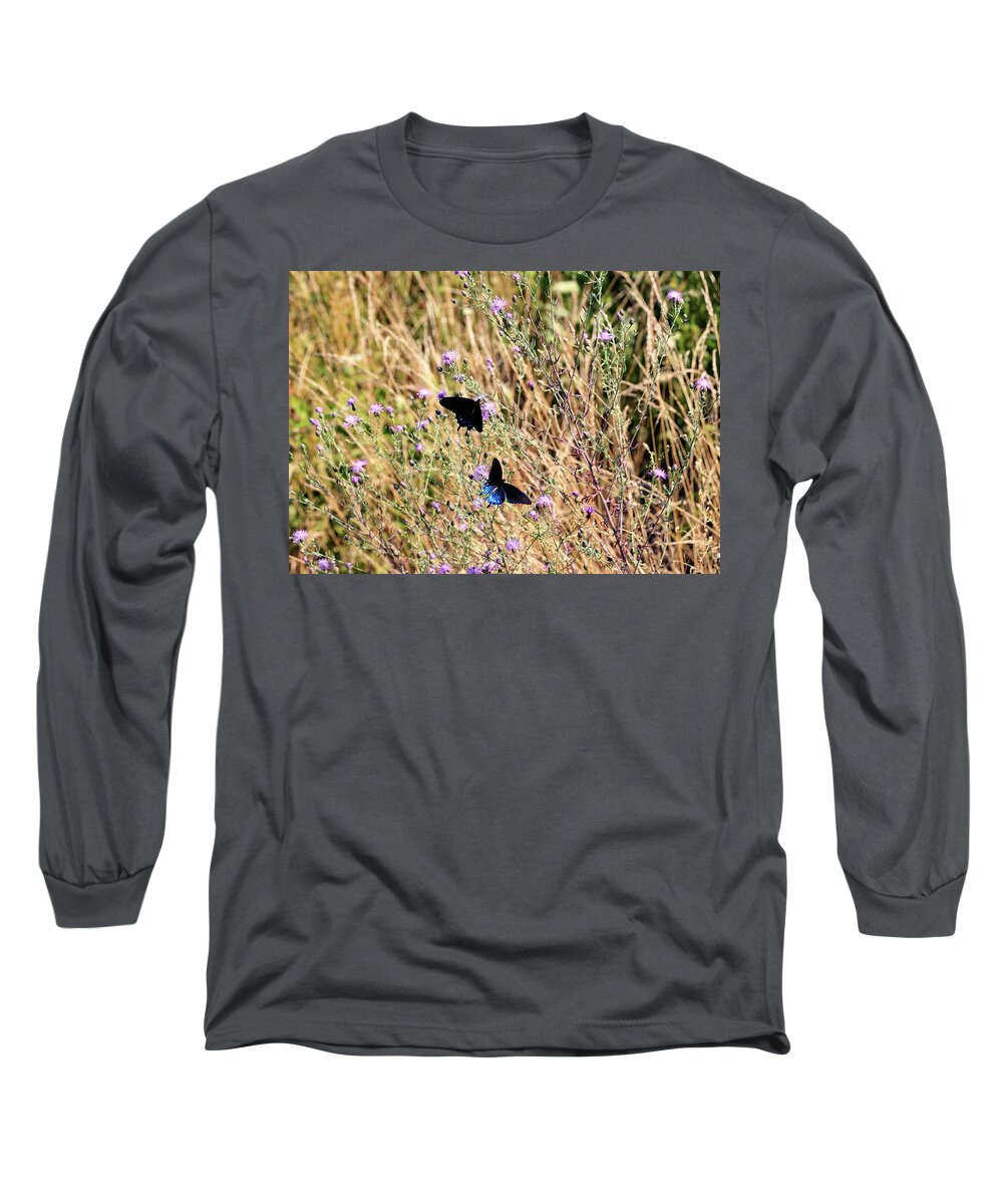 Butterfly Long Sleeve T-Shirt featuring the photograph Blue Ridge Butterflies 3 by Matt Sexton