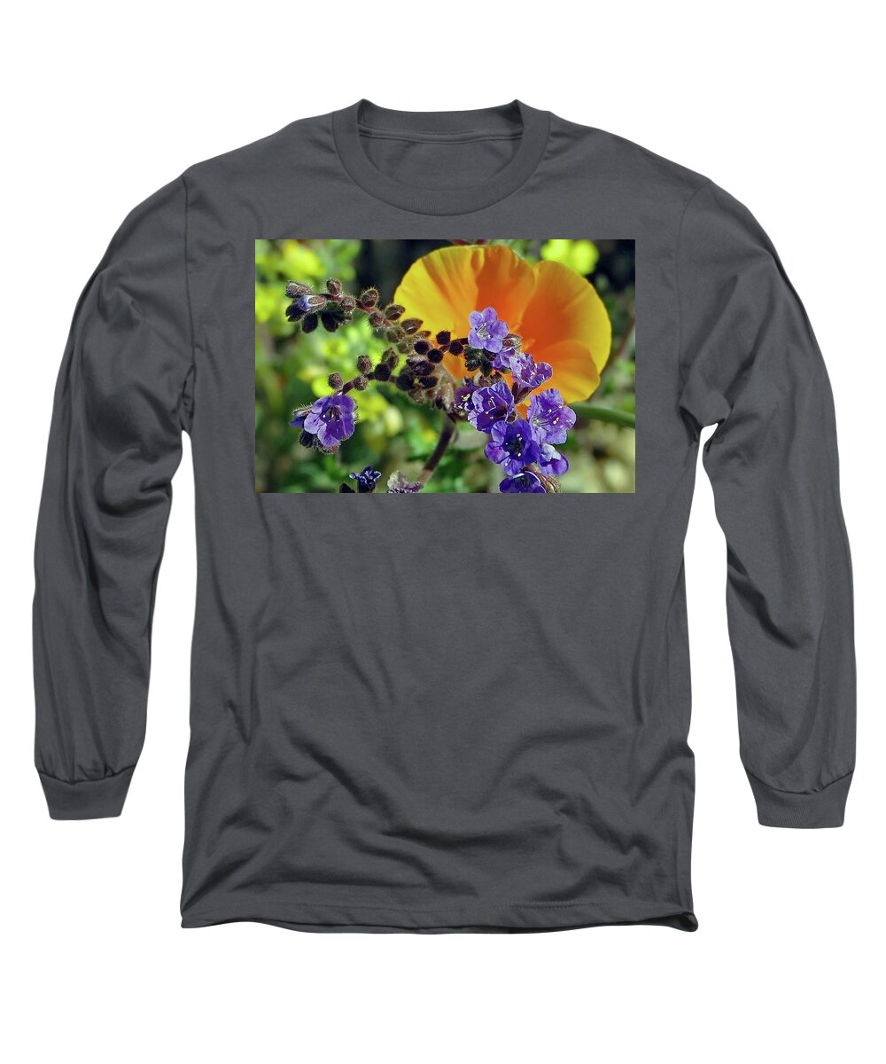 Orange Poppy Long Sleeve T-Shirt featuring the photograph Bluebells In The Limelight by Hazel Vaughn