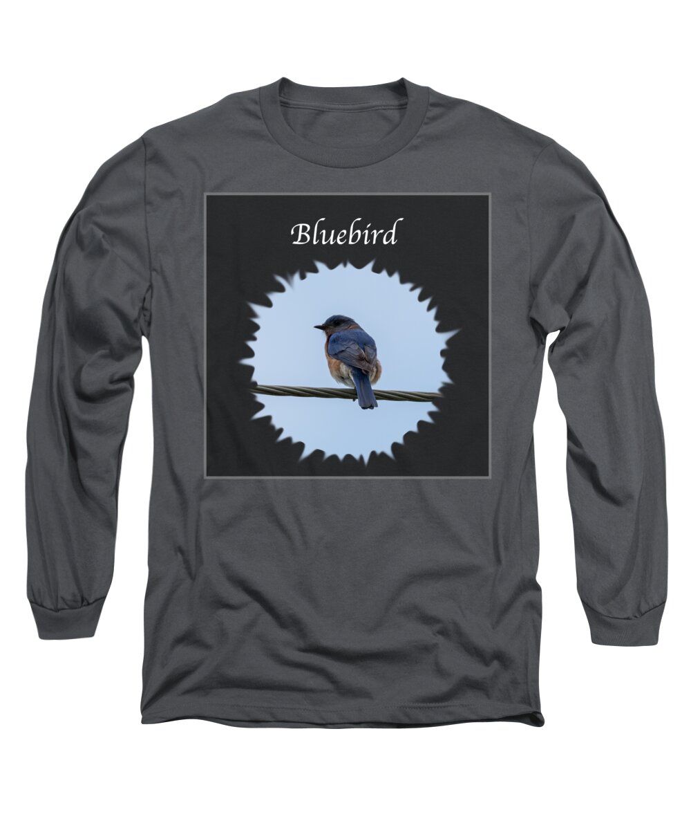 Eastern Bluebird Long Sleeve T-Shirt featuring the photograph Bluebird by Holden The Moment