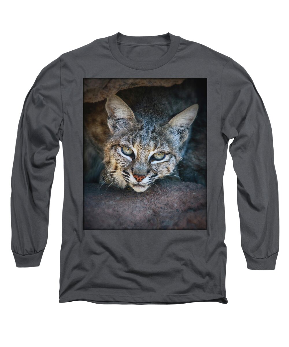 Bobcats Long Sleeve T-Shirt featuring the photograph Bobcat Stare by Elaine Malott