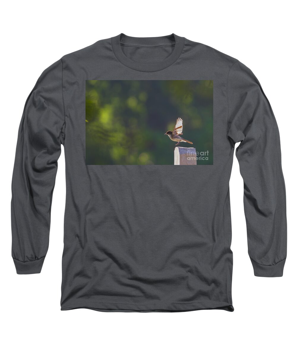 Bokeh For Phoebe Long Sleeve T-Shirt featuring the photograph Bokeh for Phoebe by Gary Holmes