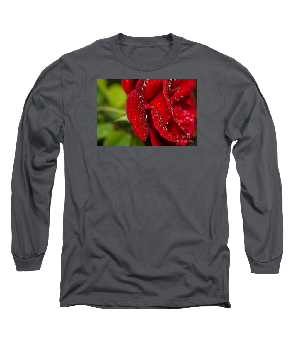 Floral Long Sleeve T-Shirt featuring the photograph Bold and Beautiful Rose Botanical / Nature / Floral Photograph by PIPA Fine Art - Simply Solid