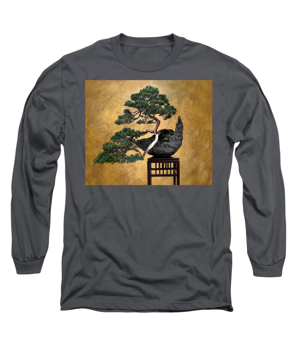 Tree Long Sleeve T-Shirt featuring the photograph Bonsai 3 by Jessica Jenney