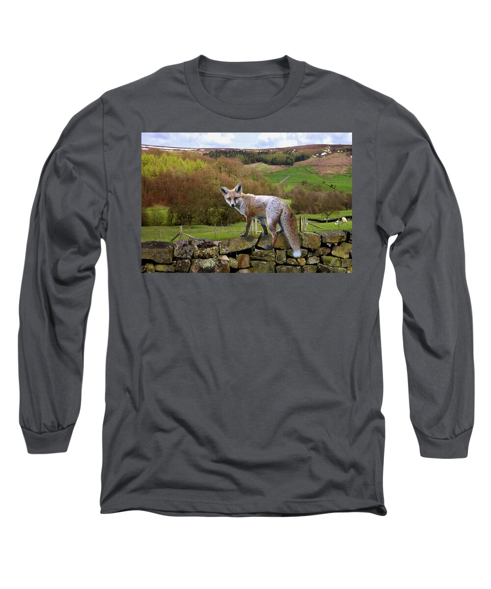 Landscape Long Sleeve T-Shirt featuring the photograph Bransdale Fox by Mark Egerton