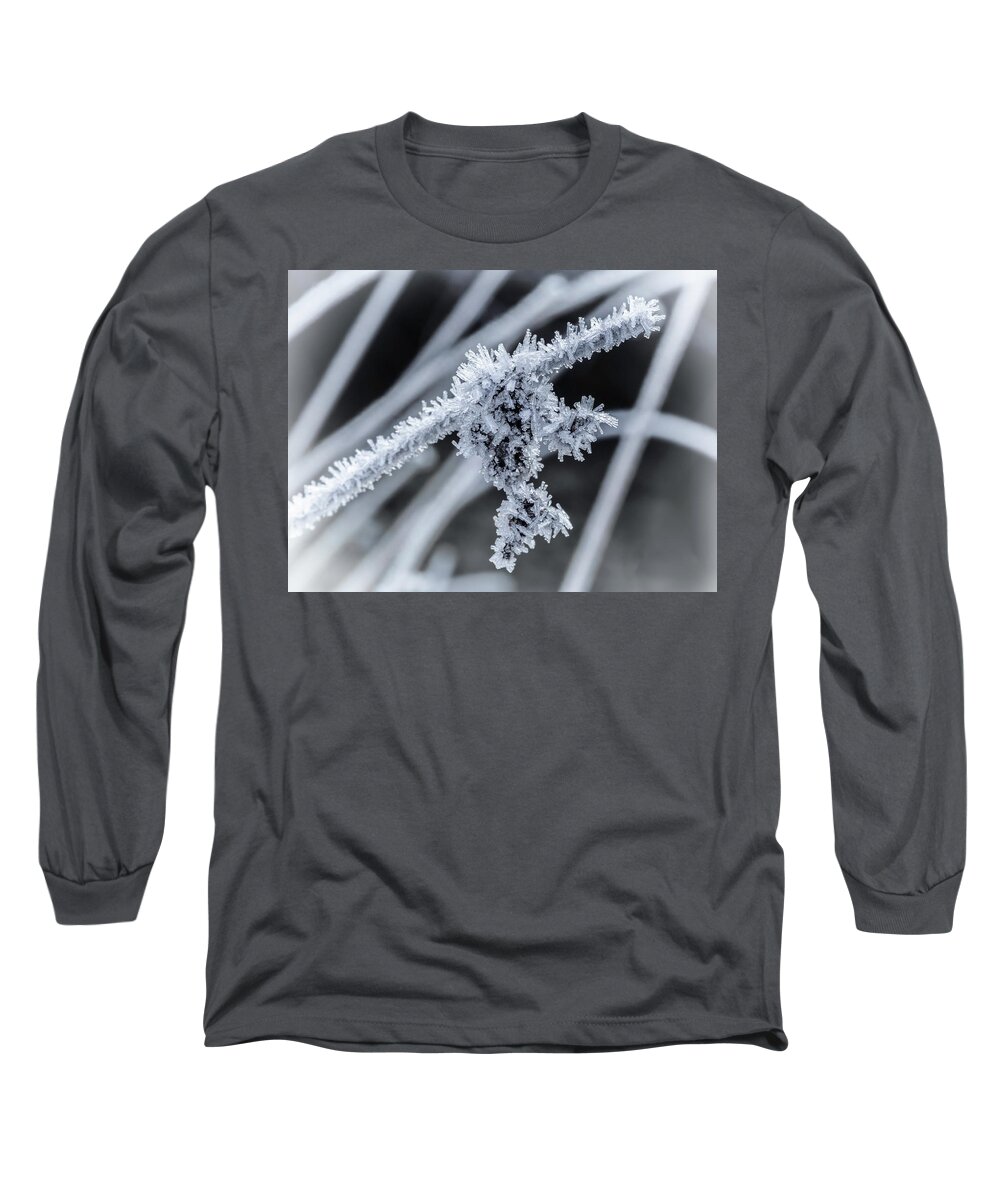 Ice Long Sleeve T-Shirt featuring the photograph Briefly Beautiful by Nick Bywater