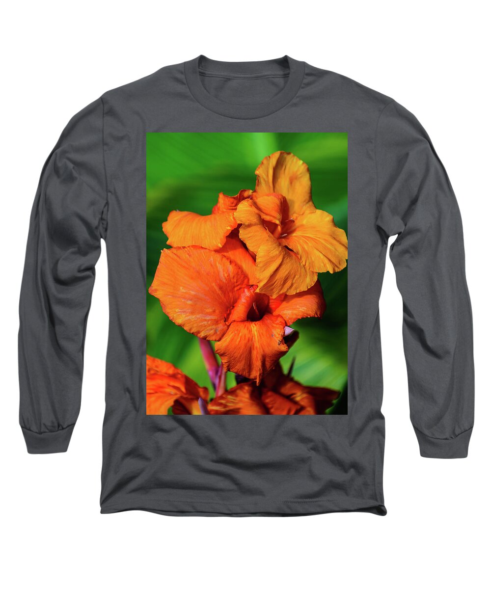 Morton Arboretum Long Sleeve T-Shirt featuring the photograph Bright Orange by Tom Potter