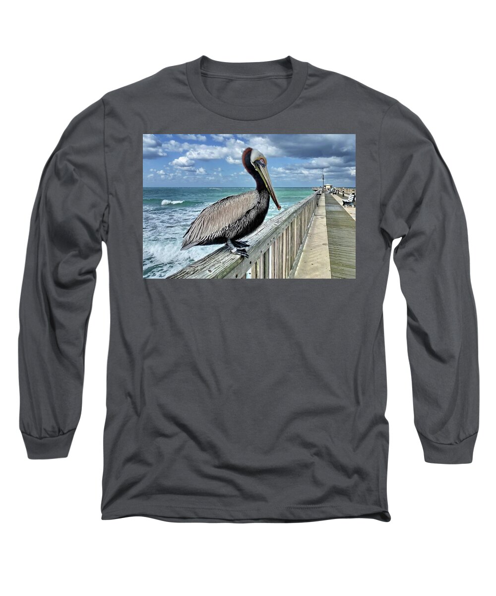 Brown Pelican Long Sleeve T-Shirt featuring the photograph Brown Pelican, Atlantic by Lyuba Filatova