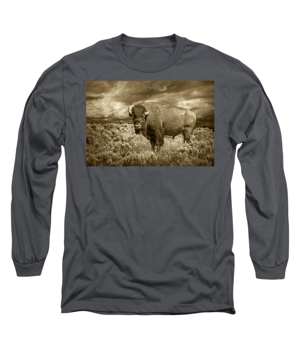 Buffalo Long Sleeve T-Shirt featuring the photograph Buffalo Bison at Yellowstone in Sepia by Randall Nyhof