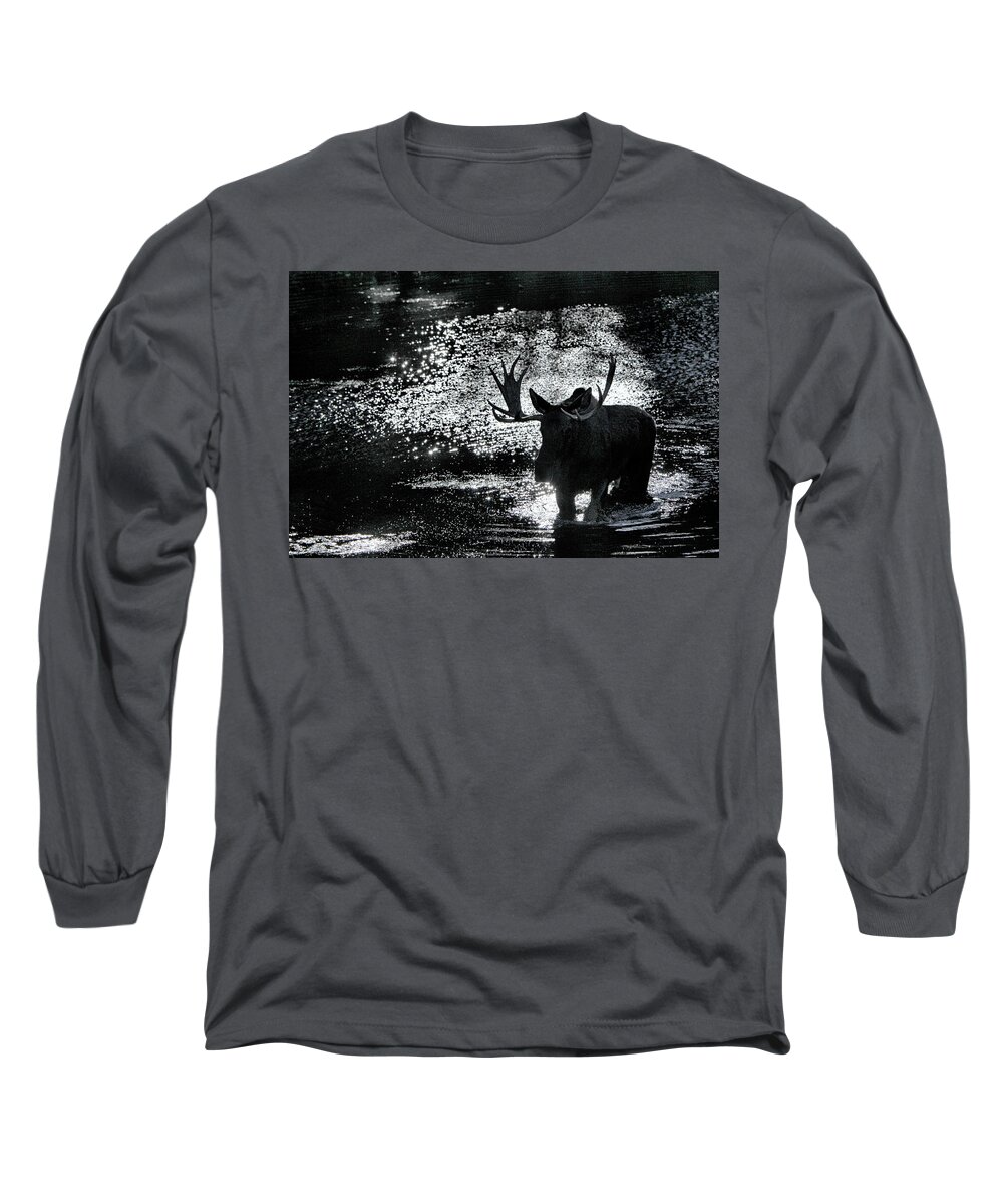 Cloud Cover Over Bull Moose Long Sleeve T-Shirt featuring the photograph Bull Moose Shadow by Marta Alfred