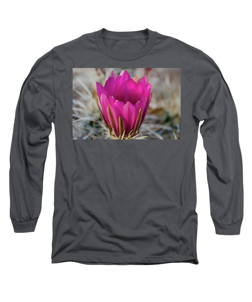 Cactus Flower Desert Long Sleeve T-Shirt featuring the photograph Cactus Flower by William Kimble