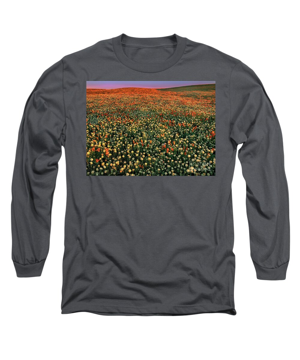 California Poppies Long Sleeve T-Shirt featuring the photograph California Poppies at Dawn Lancaster California by Dave Welling