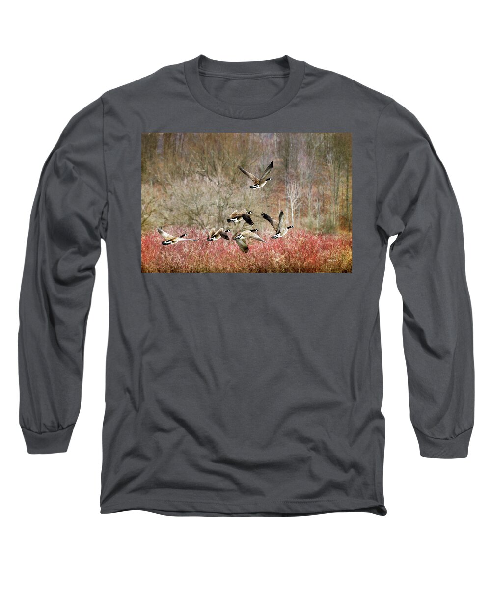 Canada Geese Long Sleeve T-Shirt featuring the photograph Canada Geese In Flight by Christina Rollo