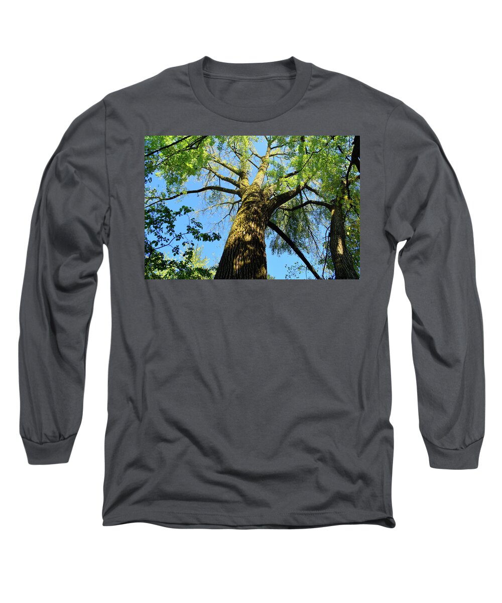 Trees Long Sleeve T-Shirt featuring the photograph Canopy by Linda L Brobeck