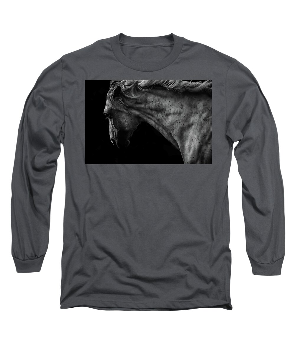  Long Sleeve T-Shirt featuring the photograph Carved in Stone by Ryan Courson