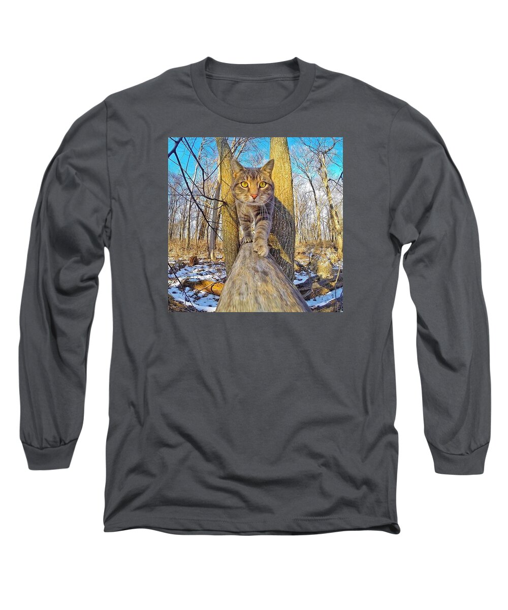 Cat Long Sleeve T-Shirt featuring the photograph Cat by Julio Cesar