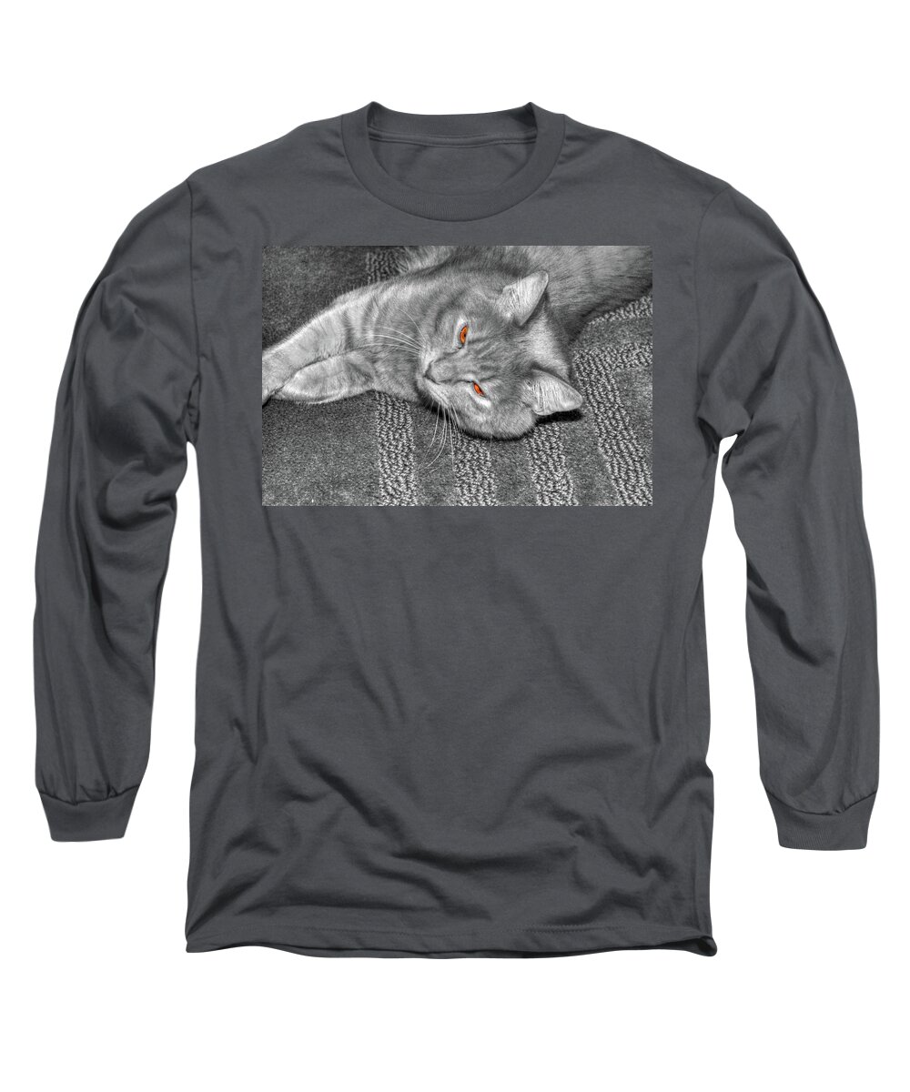 Hdr Long Sleeve T-Shirt featuring the photograph Cat Kickin' back by Randy Wehner