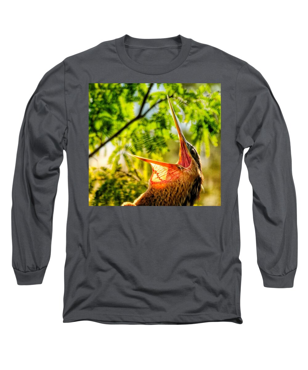 Alligators Long Sleeve T-Shirt featuring the photograph Catching Air by Kathi Isserman