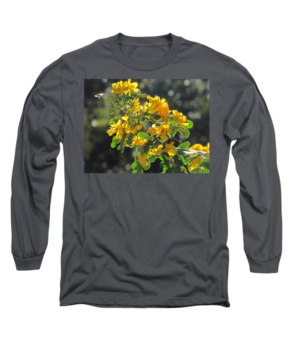 Flower Long Sleeve T-Shirt featuring the photograph Catchlight Bee Over Yellow Blooms by David Bader