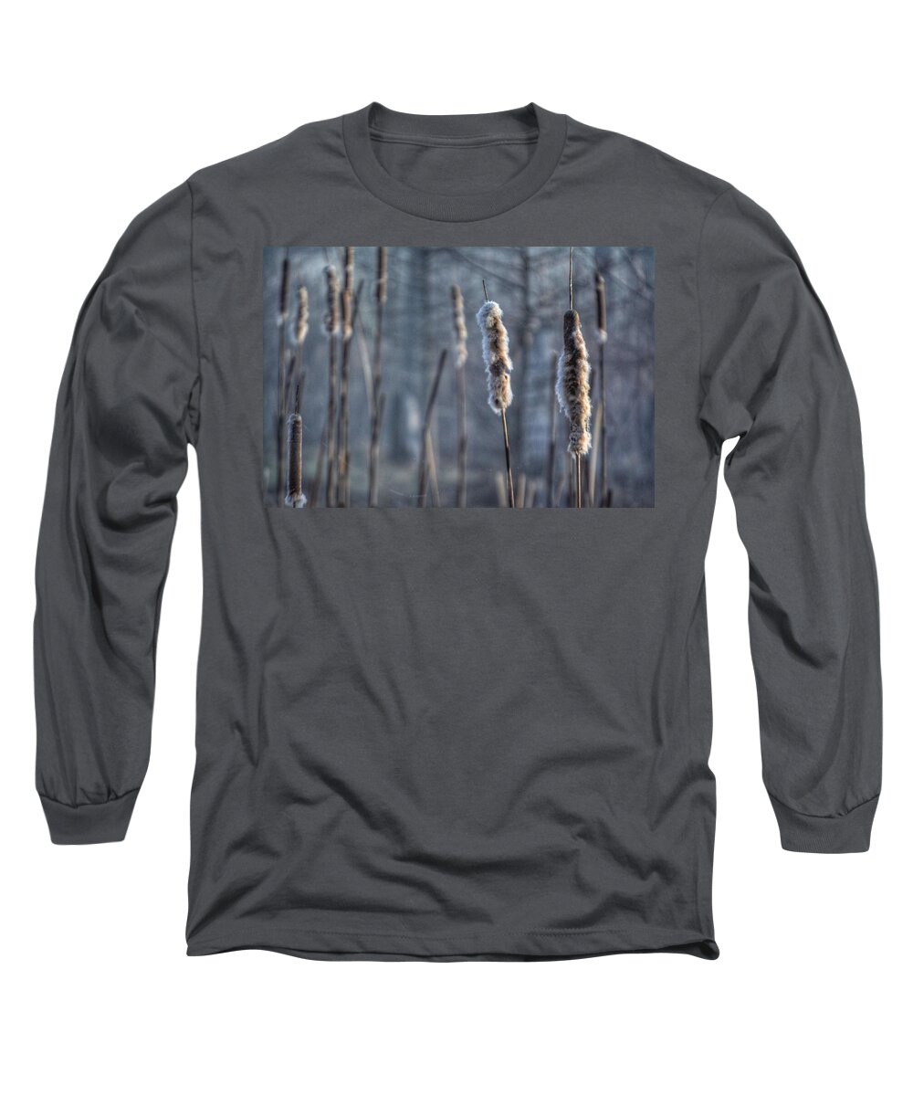 Cattails Long Sleeve T-Shirt featuring the photograph Cattails in the Winter by Sumoflam Photography