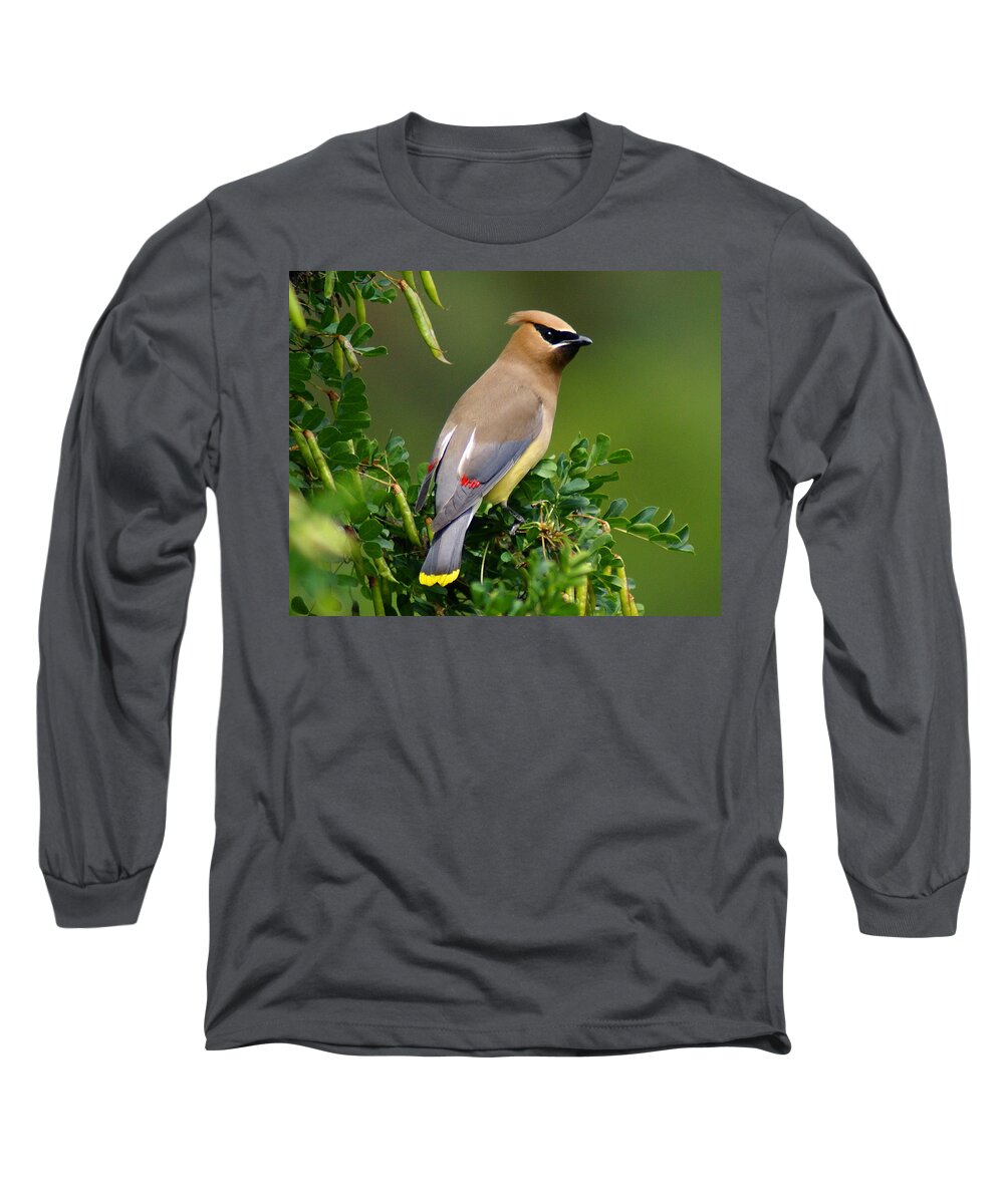 Spokane Long Sleeve T-Shirt featuring the photograph Cedar Waxwing by Ben Upham III