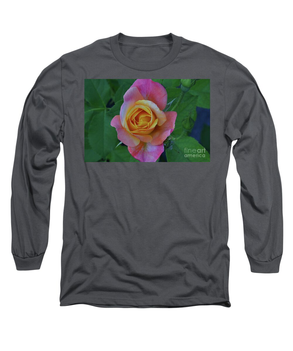 Rose Long Sleeve T-Shirt featuring the photograph Center of the Blooms by Debby Pueschel