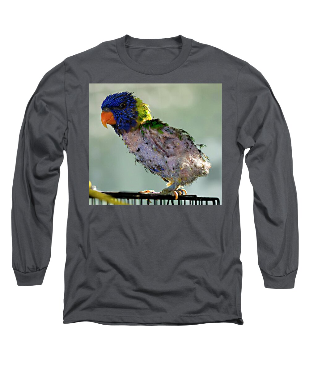 Bird Long Sleeve T-Shirt featuring the photograph Charlie after a night out by Jeremy Holton