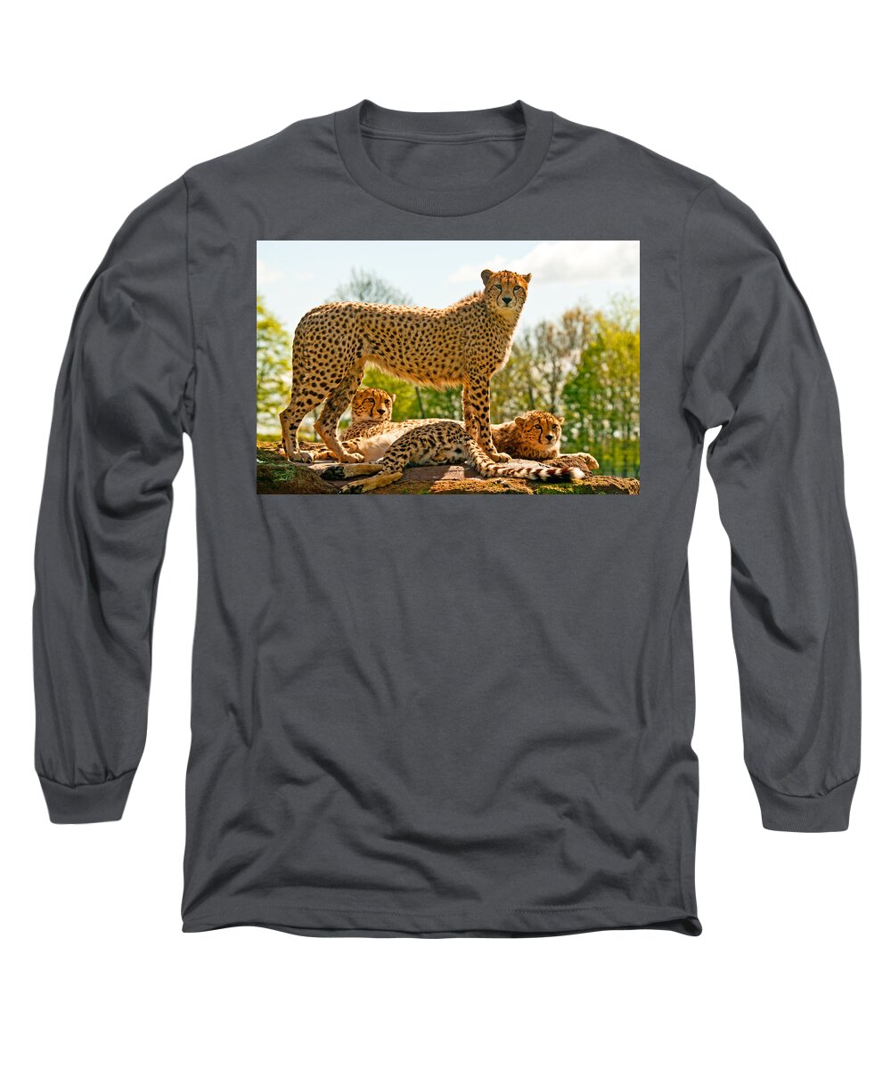 Cheetah Long Sleeve T-Shirt featuring the photograph Cheetahs Three by Chris Thaxter