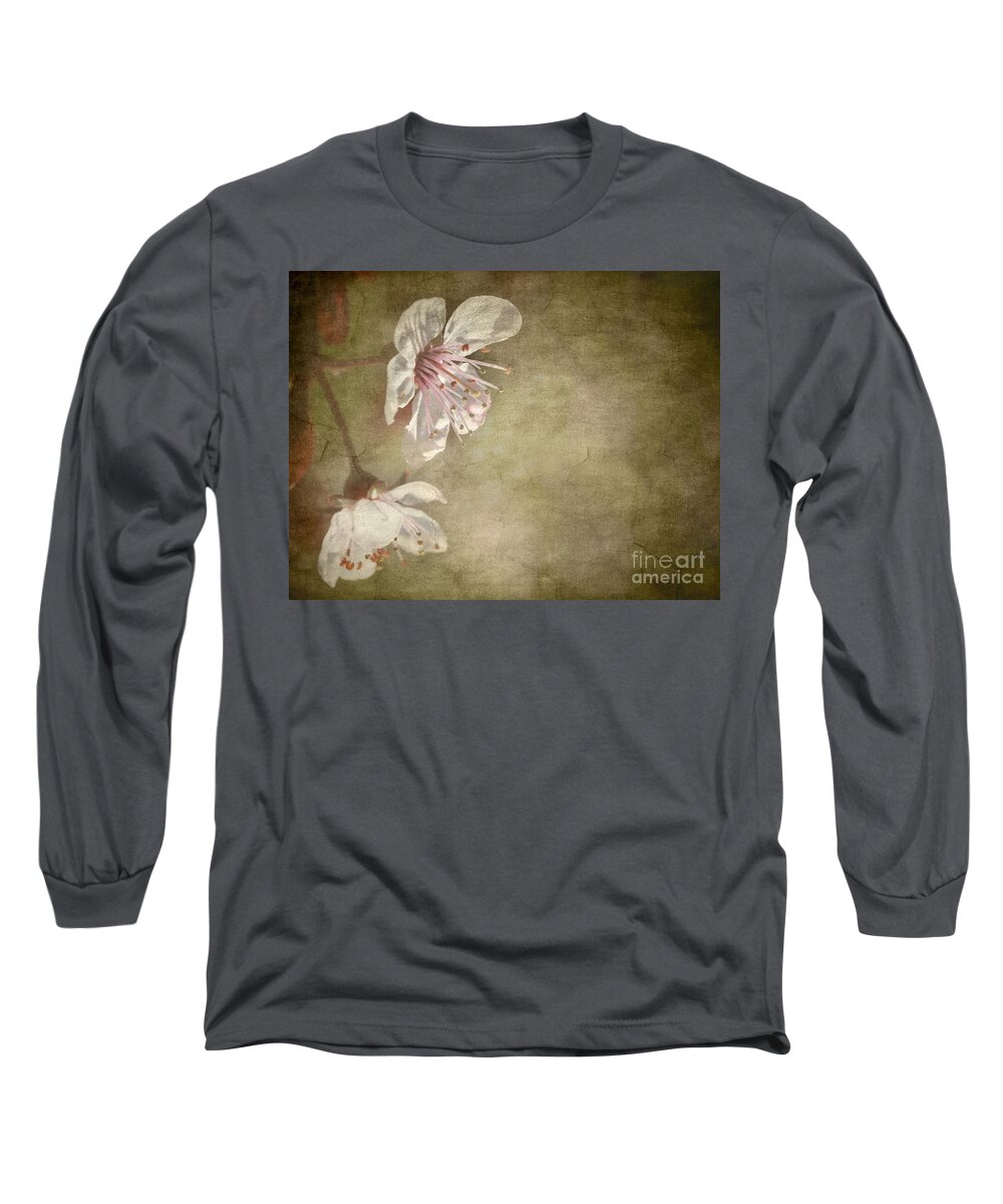 Aged Long Sleeve T-Shirt featuring the photograph Cherry Blossom by Meirion Matthias