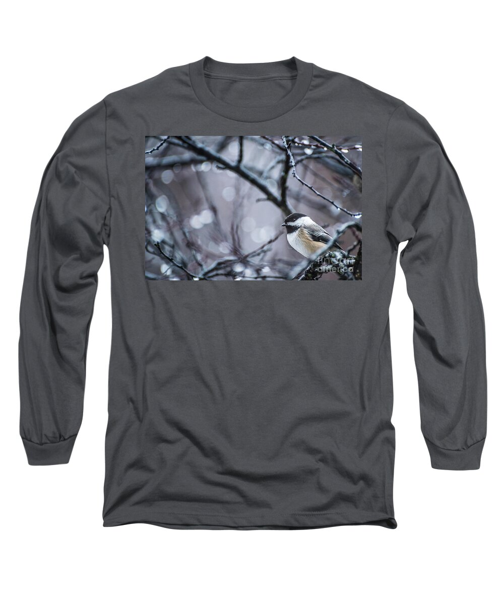 Black-capped Chickadee Long Sleeve T-Shirt featuring the photograph Chickadee Rain by Joann Long